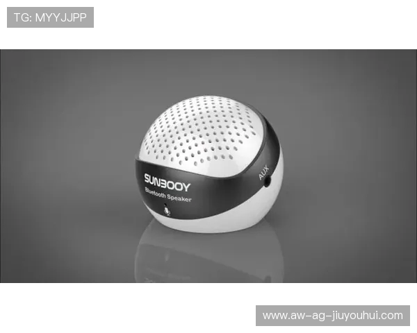 便携小型足球门框设计与创新应用分析及市场前景展望 便携小型足球门框设计与创新应用分析及市场前景展望